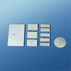 Ampiezze 50 x 17 x 5mm del piatto ceramico piezo-elettrico di cristallo dell'anello dell'attrezzatura P4 di bellezza alta